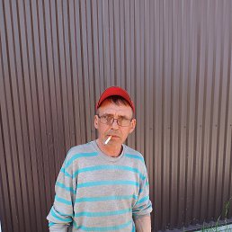 , 53,  