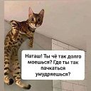    , -, 72  -  7  2025    Ȼ