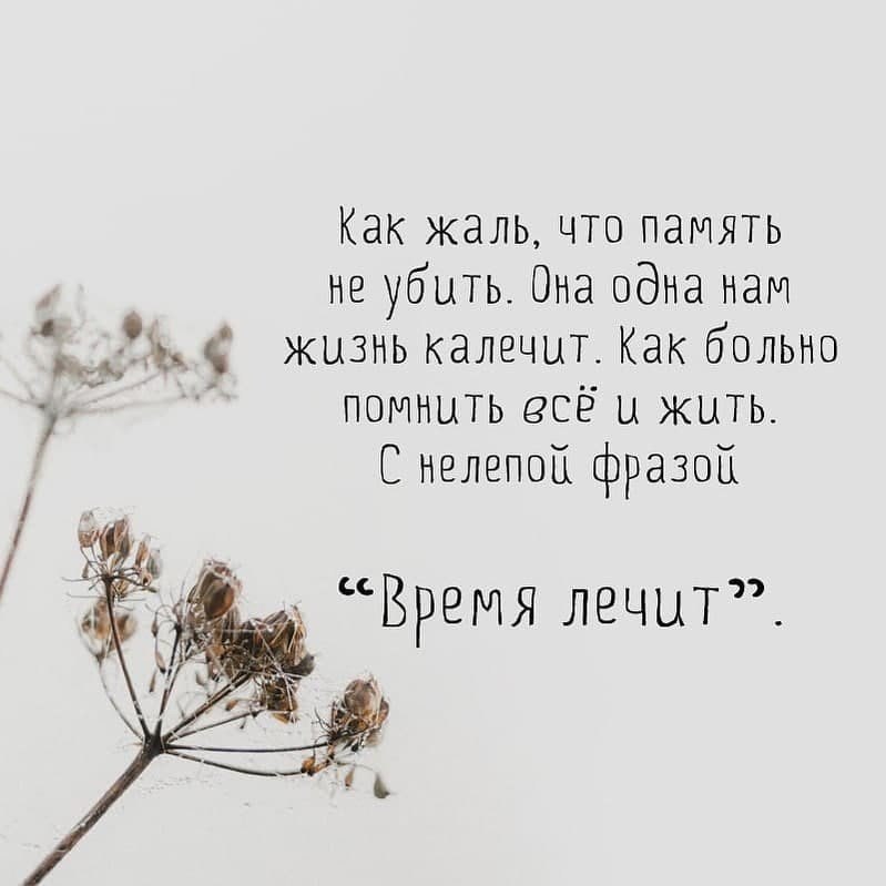 Стихи и цитаты - 27 августа 2025 в 18:45