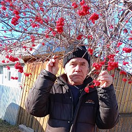 �����, 63 ����, ����