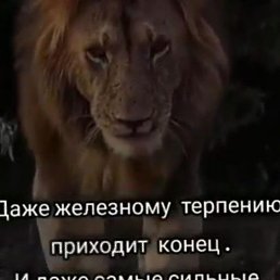 ������, �����, 41 ���