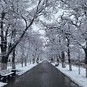 ���� �����, ������������ - ��������� 14 ������ 2025 � ������ ����� ���� ������