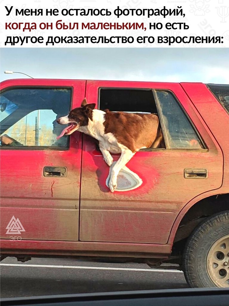   ,    ,  .