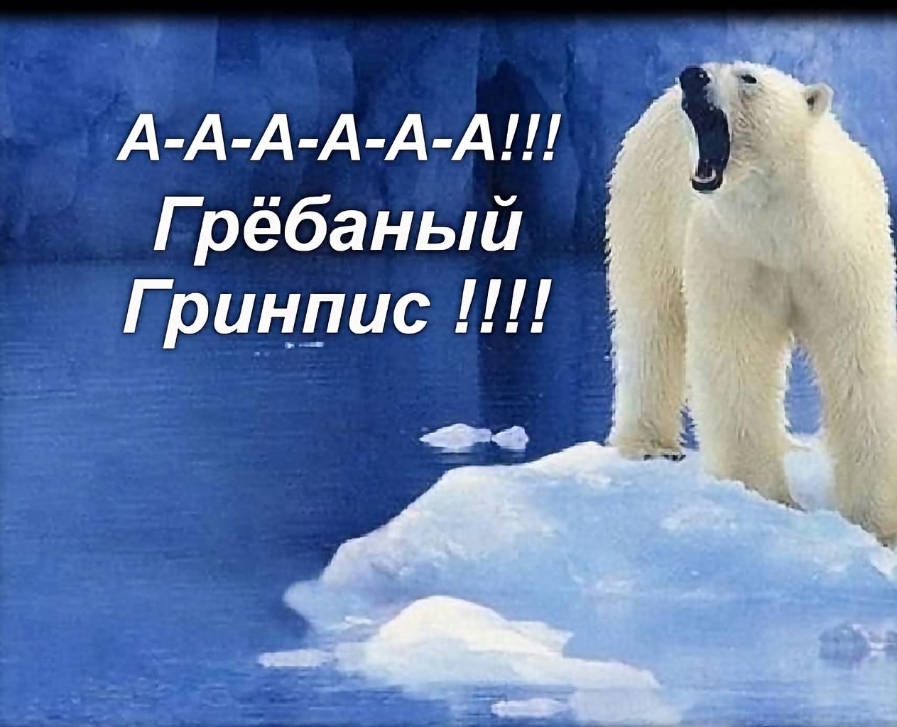������� ������, ������� �� ����� ������� �������� ����������, ������� �� ������ ������� � ...