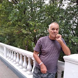 , 72, 
