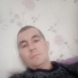 ���������, 29 ���, �����������