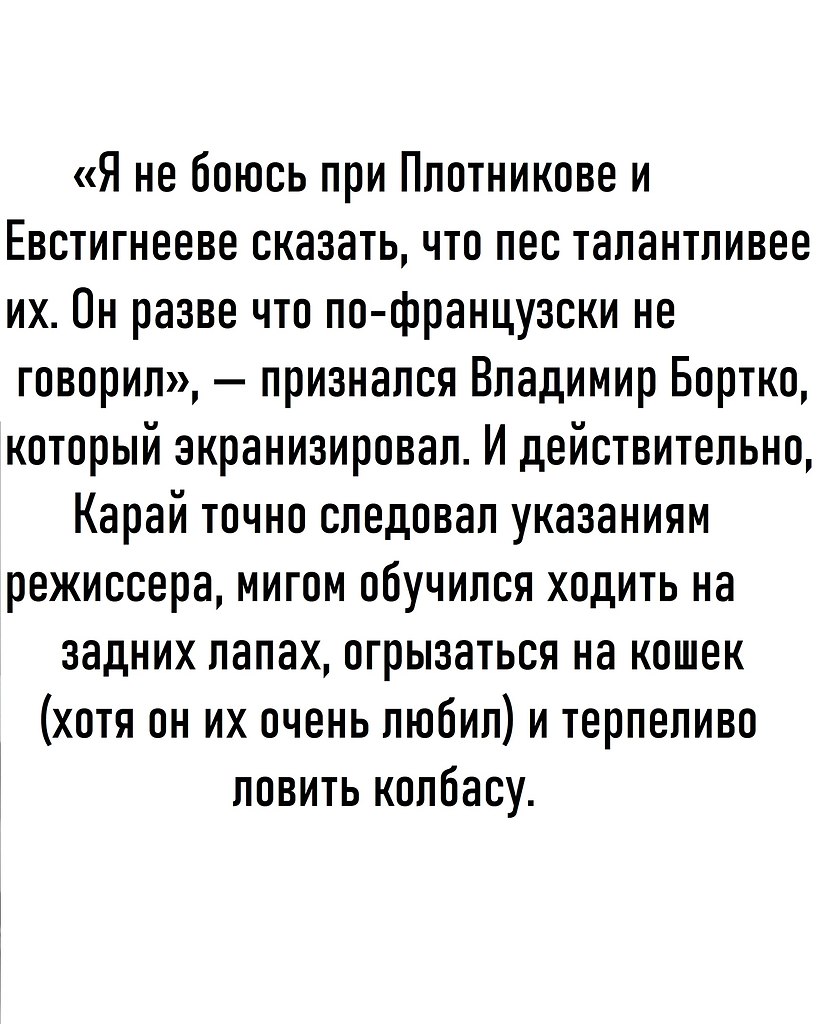          20 .     ... - 4