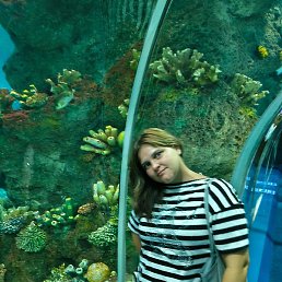 ���������, �����, 33 ����