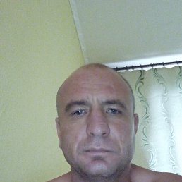 , 43, 