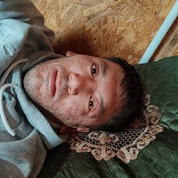 ������, �������, 37 ���