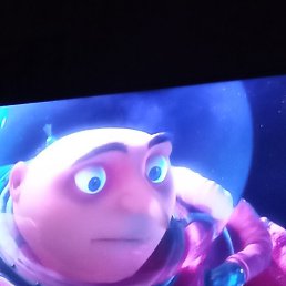 ������, ������, 49 ���