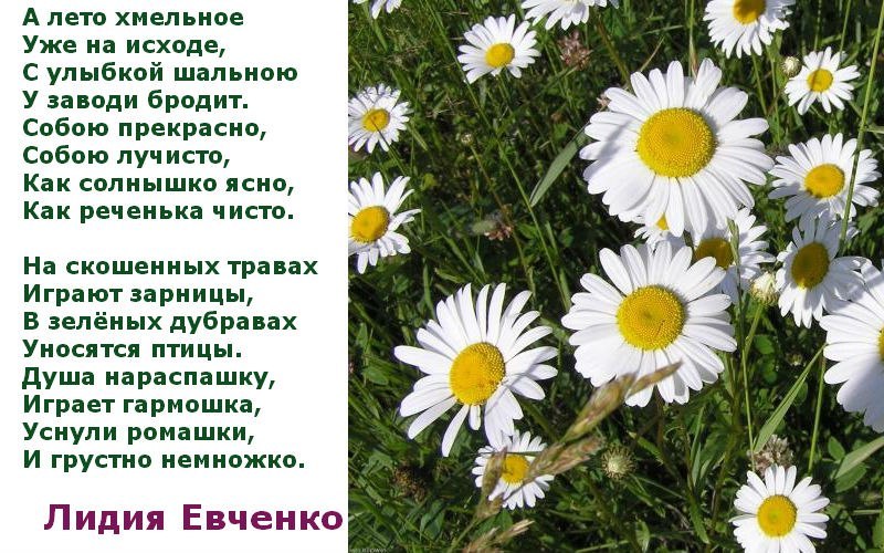  - 25  2025  02:34