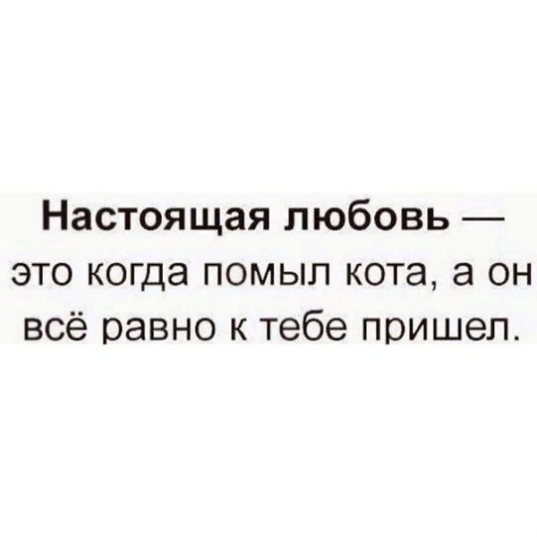 Из тесной камеры своего одиночества выбираешься только по любви. Другие причины не работают. А ...