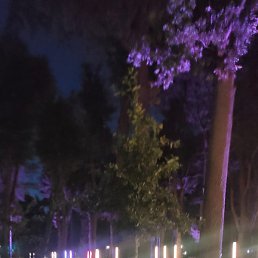 �������, �����, 54 ����