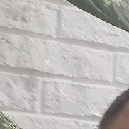 ������, 47 ���, ���������