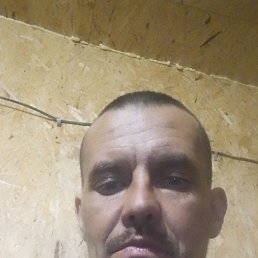 , 41, 