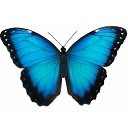 ���� ����, ���������, 20 ��� - ��������� 17 ������� 2024 � ������ ���� ����������