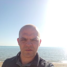 , 38, 