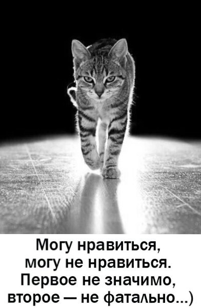 ��� ���� - 8 ������� 2026 � 16:02