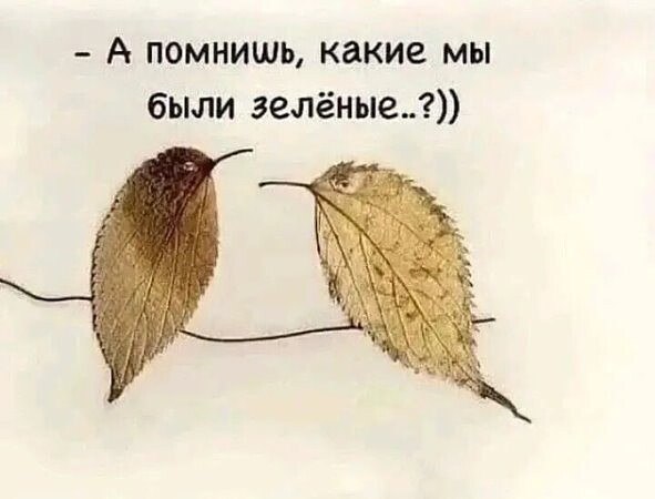  - 22  2025  15:20