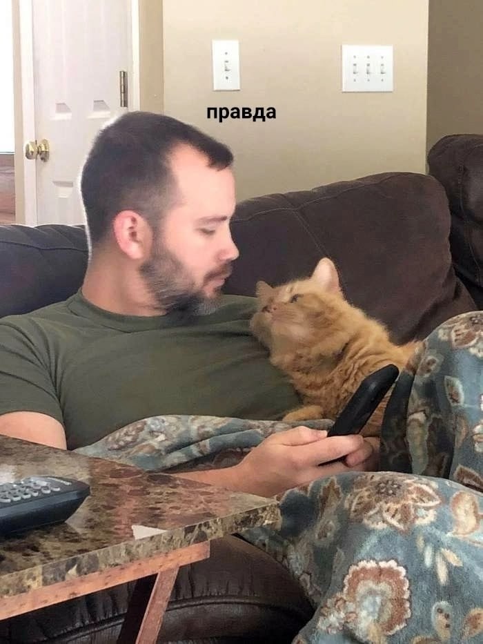 Сначала причинное место вылизывает, а потом ваше лицо - 5