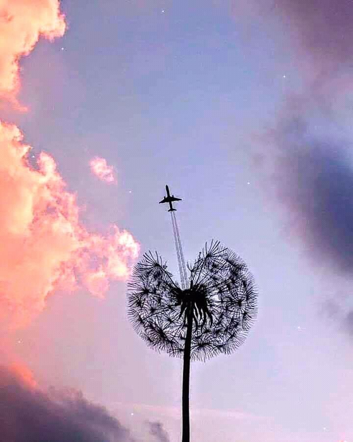   ,   ,      ...