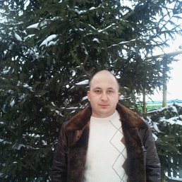 , 43, 