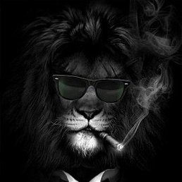 ������, ���������, 42 ����