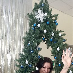 �����, ���������, 44 ����