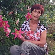 �����, 66 ���, ������