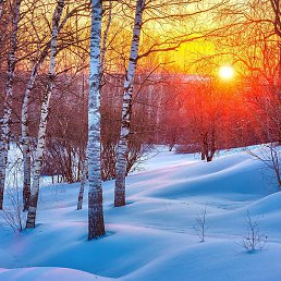 Aleksandr, �������
