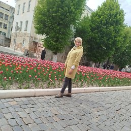 , 53, 