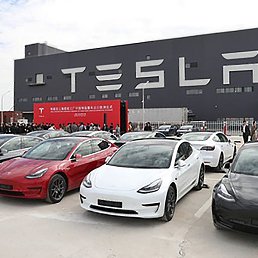Mr Elon, ������, 55 ���
