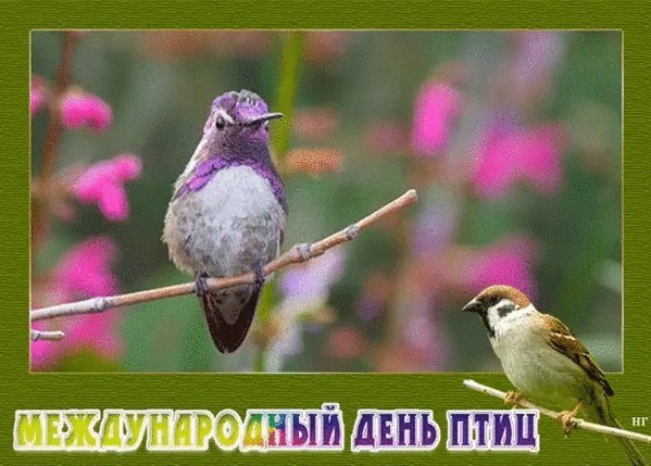 ����� �������� - 1 ������ 2025 � 11:47