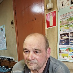 ��������, 67 ���, ���������