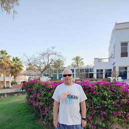 , 67 , 