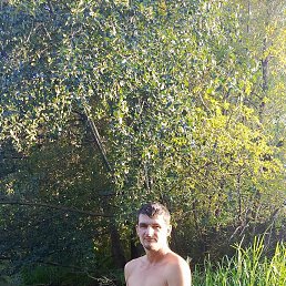 , 32, 