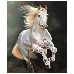 ���� �����, ����������, 51 ��� - ��������� 6 ������ 2026