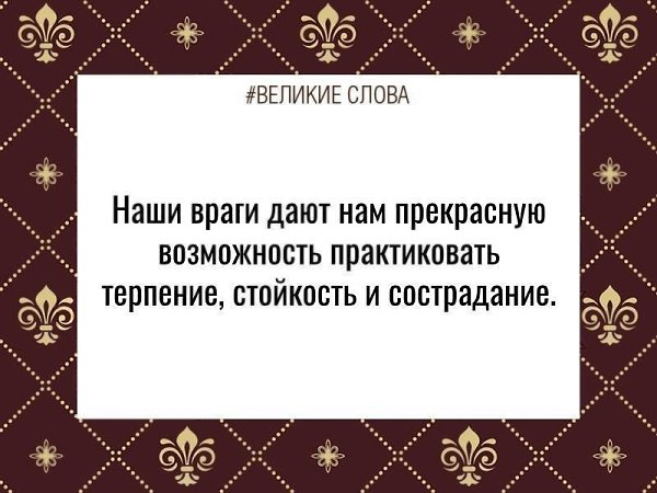   | ,    - 29  2024  11:52