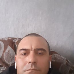 , 36, 