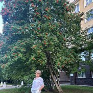 Rimma, 67 ���, ���