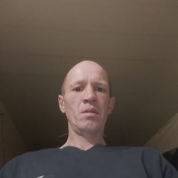 �������, 41 ���, �������