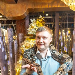 ���� �����, ���������, 37 ��� - ��������� 11 ������� 2026