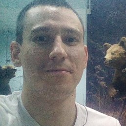 ���� ����, ������������, 42 ���� - ��������� 18 ����� 2026