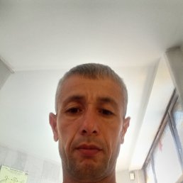 , 39, 