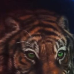 �������, ������, 62 ����