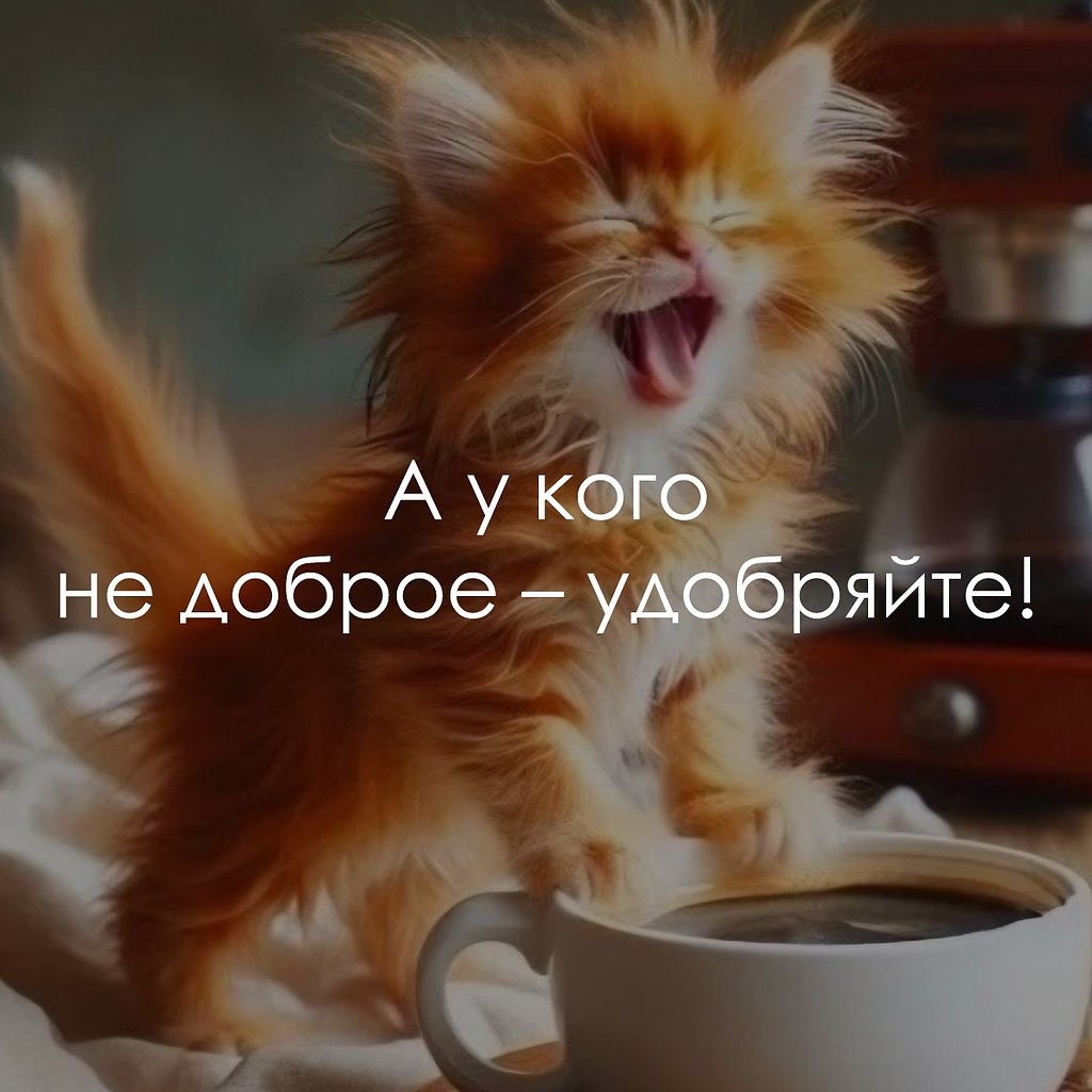   - 31  2025  08:20 - 2