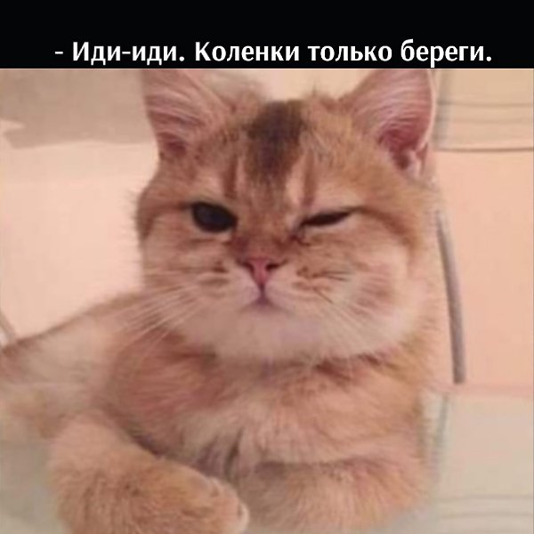 , ) - 2