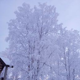 ����, �����������, 35 ���