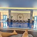 ���� ����, ���������, 33 ���� - ��������� 27 �������� 2025 � ������ ���� ����������